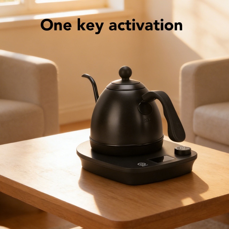 1000W Electric Gooseneck Kettl - Pour Over Kettle 리뷰 및 가격